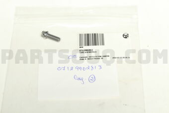 07129902813 TORX SCREW079510