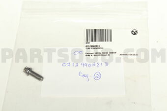 07129902813 TORX SCREW079510