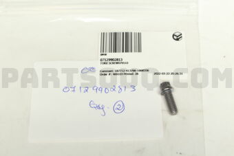 07129902813 TORX SCREW079510