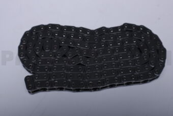 11318618318 TIMING CHAIN KIT-1(F20)