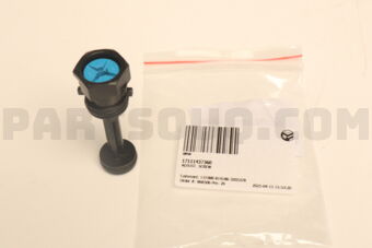 17111437360 BMW ADJUST. SCREW
