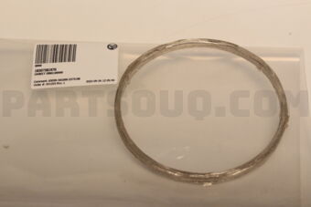 18307581970 GASKET RING189999