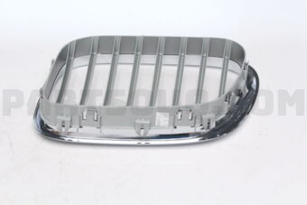 51138250052 GRILL FRT RH X5