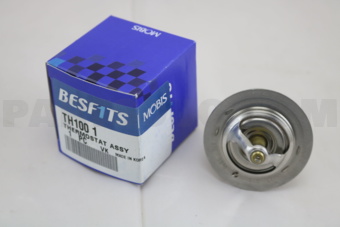 TH1001 THERMOSTAT  ASSY