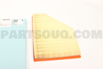 ADB112244 AIR FILTER ELMT-X5(E70)