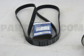 1987947820 MULTIRIB BELT