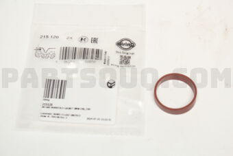 215120 INTAKE MANIFOLD GASKET BMW E90, E60