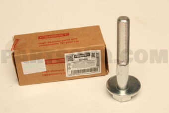0229006 CAMBER ADJUSTING ECCENTRIC BOLT