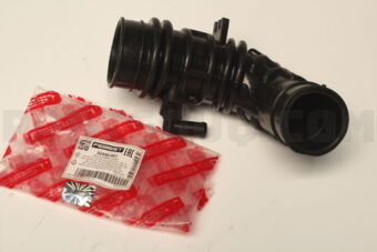 02450001 AIR CLEANER HOSE