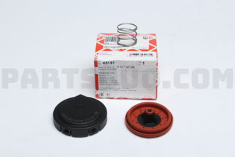 45181 REP KIT RGLATG VALVE-E60/61/X5