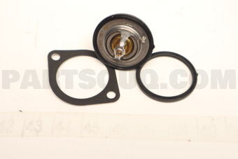 TH29882G1 THERMOSTAT