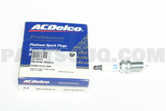 25193473 SPARK PLUG ASM