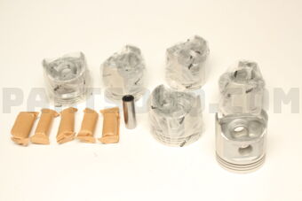 1310161011025 PISTON ASSY TO 2F 13101-61011,13101-61010 HART