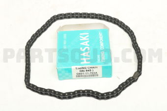 G60111703A TIMING CHAIN  G6