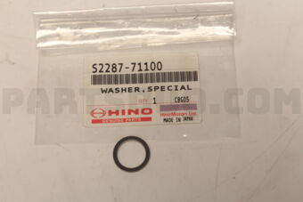 S228771100 WASHER SPECIAL