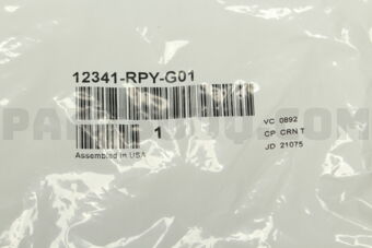 12341RPYG01 PACKING, HEAD COVER