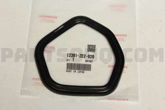 12391ZE2020 PACKING,HEAD COVE