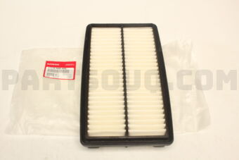 17220RN0A00 ELEMENT ASSY,CLEA