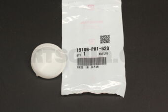 19109PH1620 CAP,FILLER