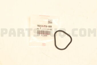 19313PT0000 PKG, THERMO CASE