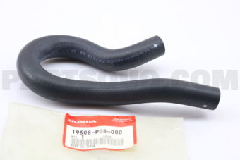 19508P08000 HOSE,BYPASS OUT