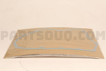21811P0X010 PACKING,TC CASE