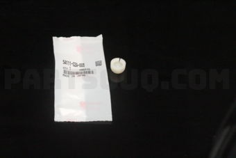 54111S2A003 COVER,PIVOT