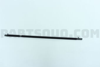 72910SNAA01 MLDG ASSY,R RR DO