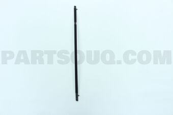 72910SNAA01 MLDG ASSY,R RR DO