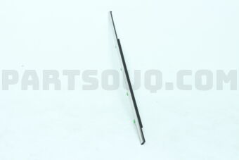 72910TG7A02 MOLDING ASSY., R. RR