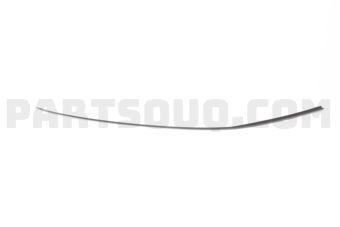 73152TA0A01 MLDG ASSY,R DRIP
