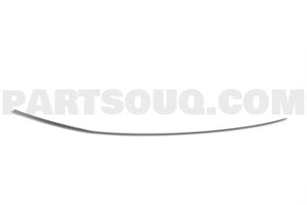 73162TA0A01 MLDG ASSY,L DRIP
