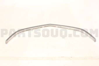 75125SEPA00 MOLDING FR. GRILLE