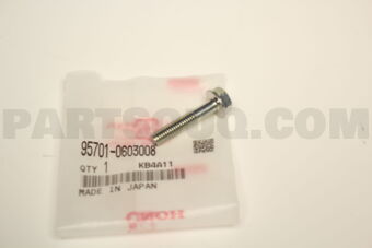 957010603008 BOLT FLANGE 6X30