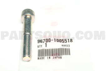 967001005518 SOCKET BOLT,10X55