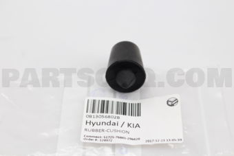 0B13056802B RUBBER-CUSHION