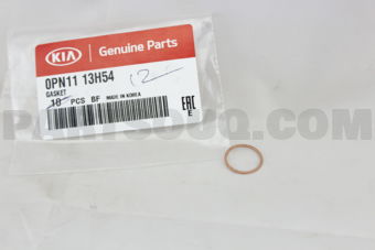 0PN1113H54 GASKET