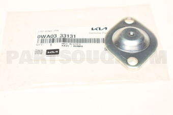 0WA0333131 CAP-KING PIN