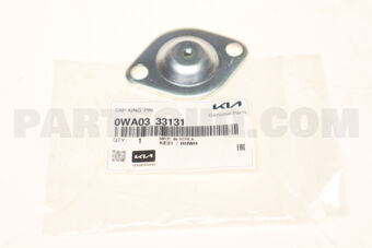 0WA0333131 CAP-KING PIN