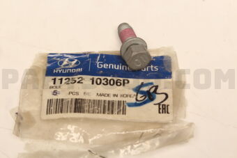 1125210306P Hyundai / KIA BOLT