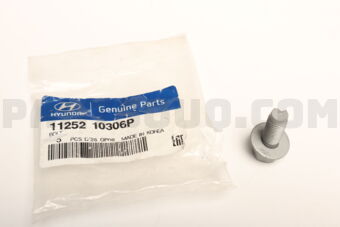 1125210306P BOLT