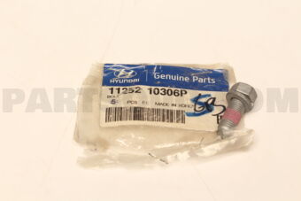 1125210306P Hyundai / KIA BOLT