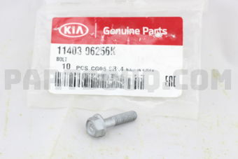 1140306256K BOLT