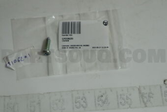 1243106201 T/SCREW