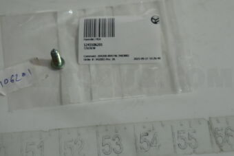 1243106201 T/SCREW