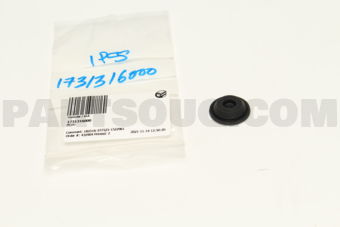 1731316000 PLUG