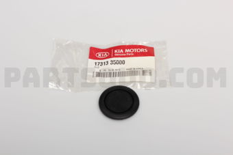 1731335000 PLUG