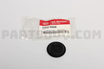 1731335000 PLUG
