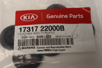 1731722000B PLUG-WAX INJECTION HOLE