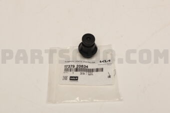 1737920834 BUMPER-T/GATE OVERSLAM